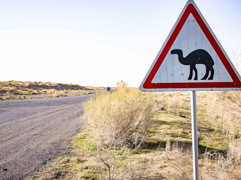 Camel sign in the desert