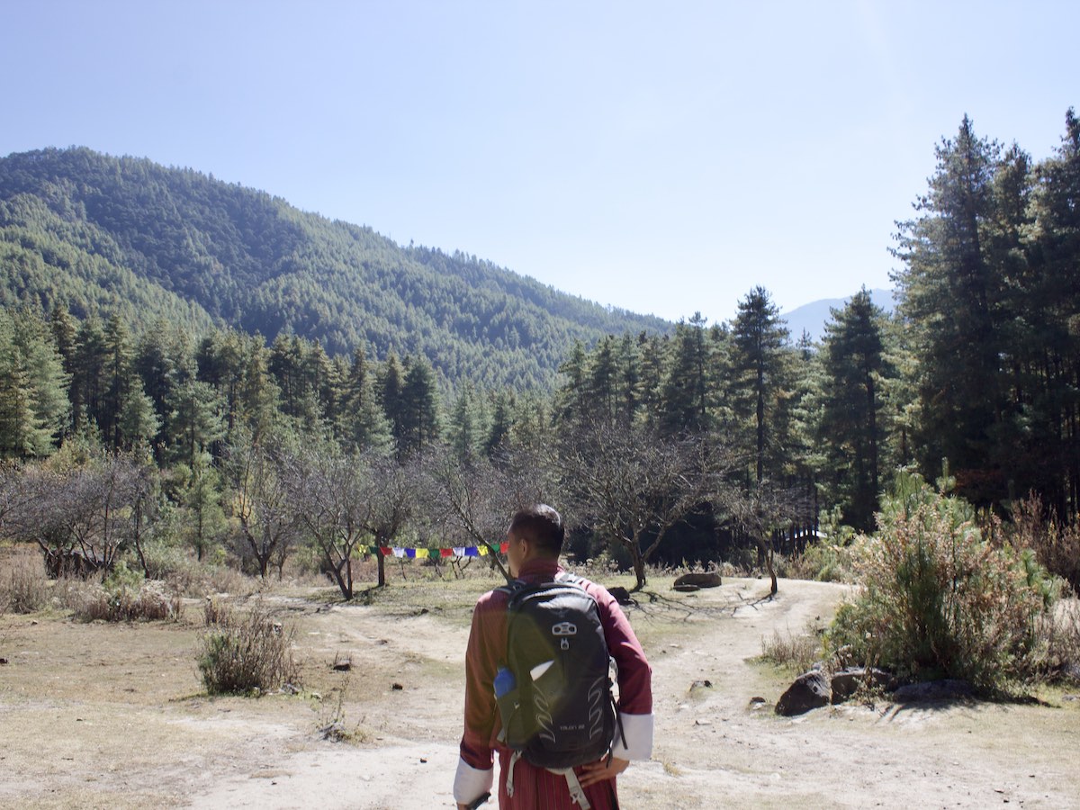 Ello der er på vandretur i skoven i Bhutan